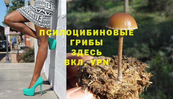 COCAINE Белокуриха