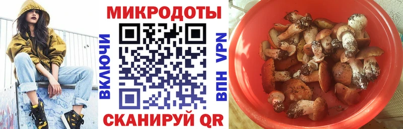 Псилоцибиновые грибы мицелий blacksprut как зайти Верещагино